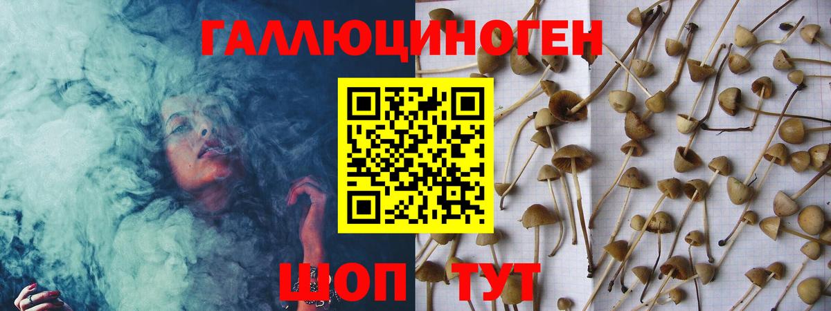 Зеленогорск  Бошки Шишки  Мефедрон   Вход с VPN  Гашиш  МДМА 