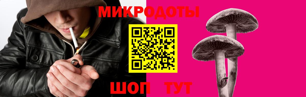 Псилоцибиновые грибы прущие грибы Зеленогорск